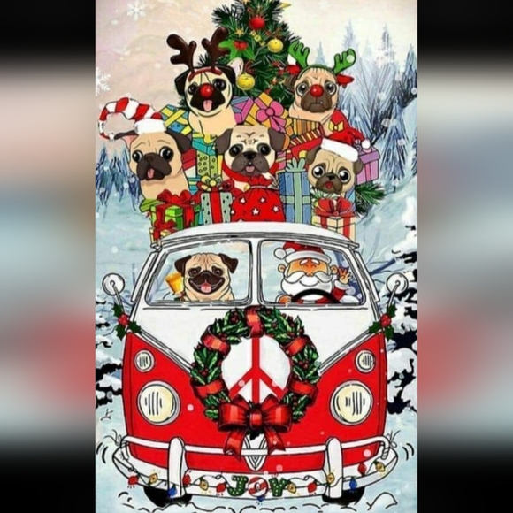 Meet your Posher, Charlee Dawn - Picture 2 of 7